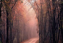 儿子考虑出走去执教,让皇马教父心神不宁:皇马主帅出现新的可能.