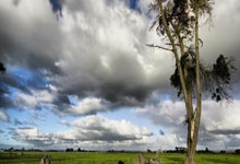 吉鲁成为法国最年长进球者 距离亨利纪录只差2球.