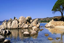 巅峰国际:国象中国分区赛第四轮 彭雄健高木子嫣领跑积分榜.